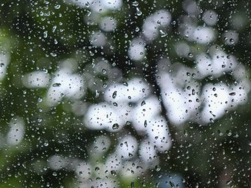 水電工日誌